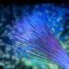 Get Paid for Sharing Internet Bandwidth