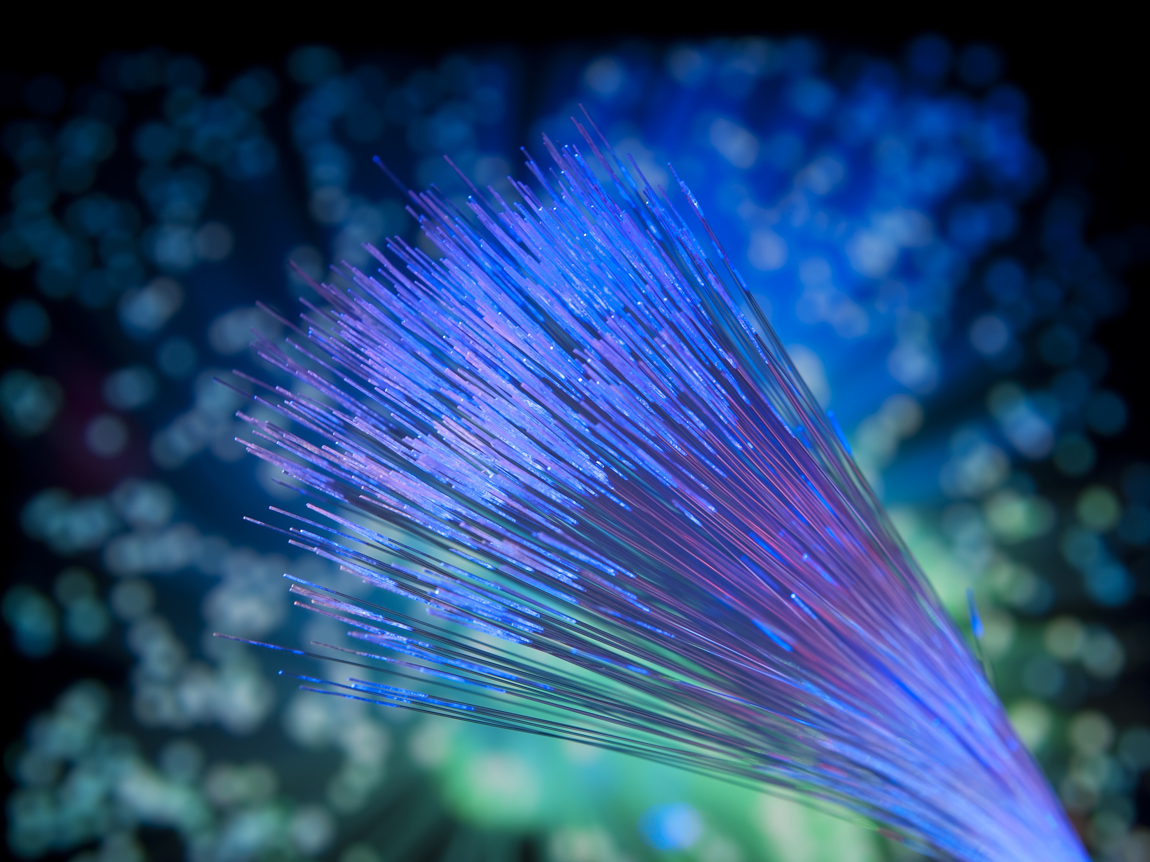 Get Paid for Sharing Internet Bandwidth